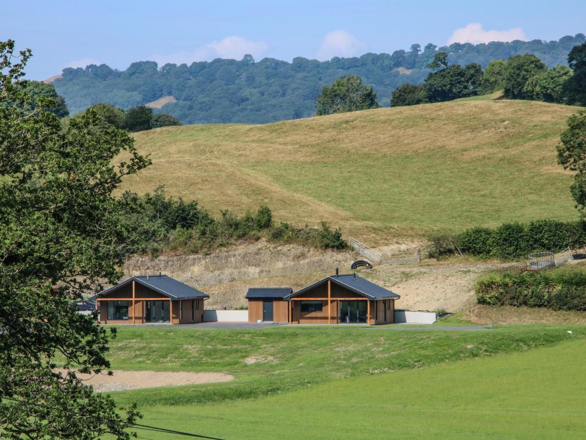 Meadow View Villa Meifod Bagian luar foto